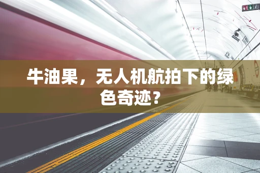 牛油果，无人机航拍下的绿色奇迹？