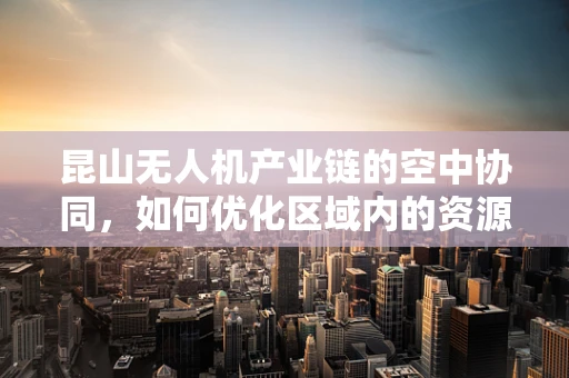 昆山无人机产业链的空中协同，如何优化区域内的资源整合与技术创新？
