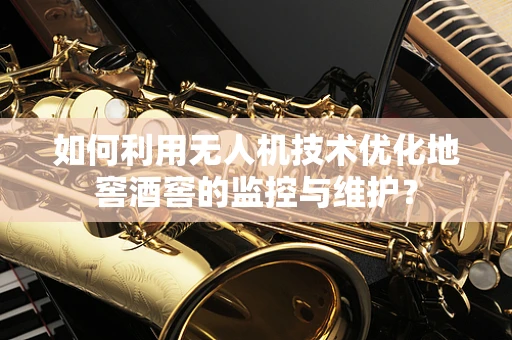 如何利用无人机技术优化地窖酒窖的监控与维护？