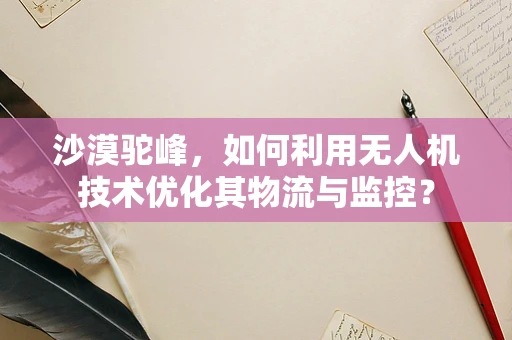 沙漠驼峰，如何利用无人机技术优化其物流与监控？
