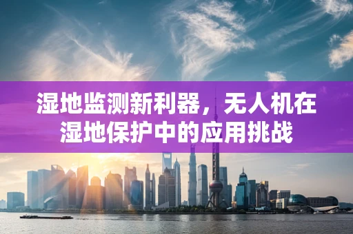 湿地监测新利器，无人机在湿地保护中的应用挑战