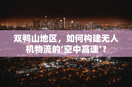 双鸭山地区，如何构建无人机物流的‘空中高速’？