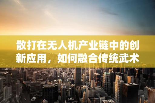 散打在无人机产业链中的创新应用，如何融合传统武术智慧与现代科技？