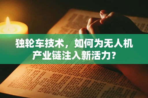 独轮车技术，如何为无人机产业链注入新活力？