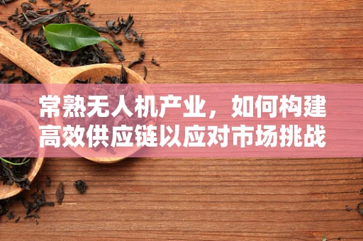 常熟无人机产业，如何构建高效供应链以应对市场挑战？