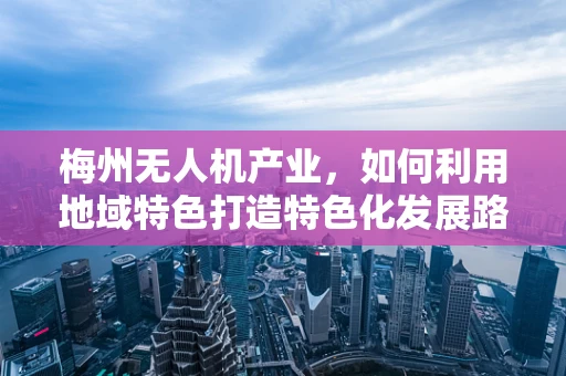 梅州无人机产业，如何利用地域特色打造特色化发展路径？