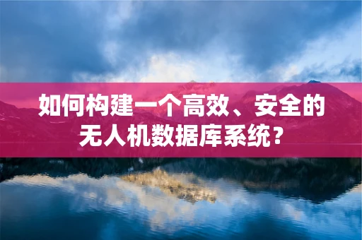 如何构建一个高效、安全的无人机数据库系统？