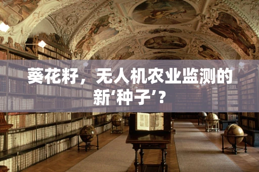 葵花籽，无人机农业监测的新‘种子’？