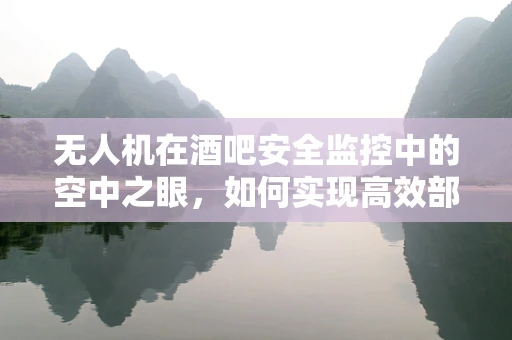 无人机在酒吧安全监控中的空中之眼，如何实现高效部署与隐私保护？