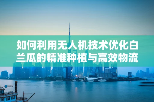 如何利用无人机技术优化白兰瓜的精准种植与高效物流？