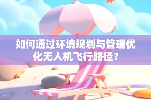 如何通过环境规划与管理优化无人机飞行路径？