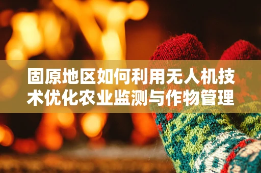 固原地区如何利用无人机技术优化农业监测与作物管理？