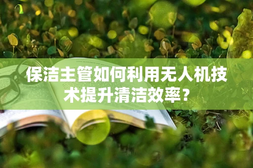 保洁主管如何利用无人机技术提升清洁效率？