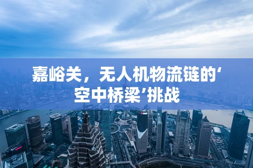 嘉峪关，无人机物流链的‘空中桥梁’挑战