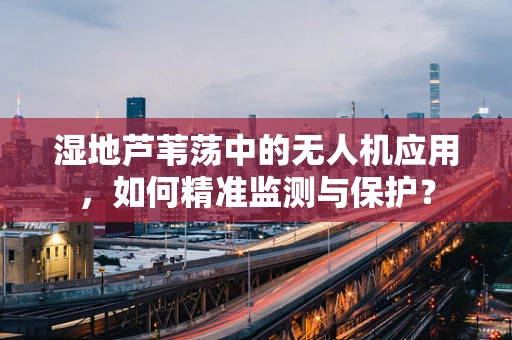 湿地芦苇荡中的无人机应用，如何精准监测与保护？
