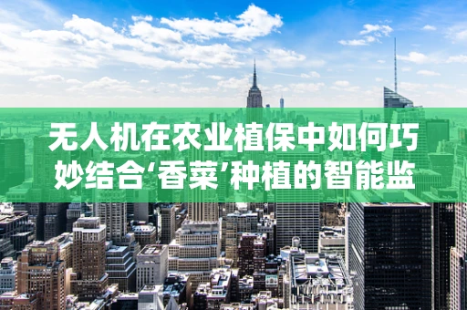 无人机在农业植保中如何巧妙结合‘香菜’种植的智能监测？