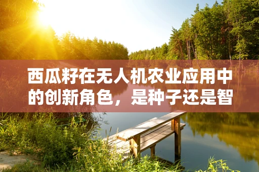 西瓜籽在无人机农业应用中的创新角色，是种子还是智能撒播器？