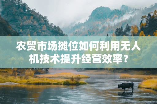 农贸市场摊位如何利用无人机技术提升经营效率？