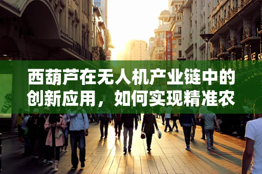 西葫芦在无人机产业链中的创新应用，如何实现精准农业的‘空中侦察’？