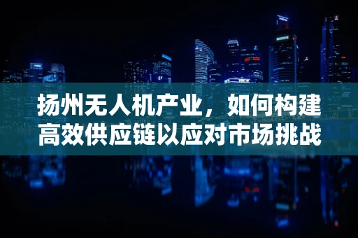 扬州无人机产业，如何构建高效供应链以应对市场挑战？