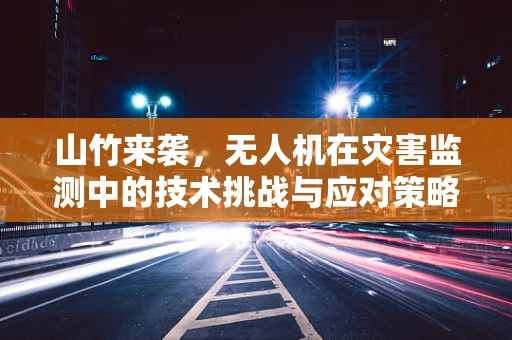 山竹来袭，无人机在灾害监测中的技术挑战与应对策略