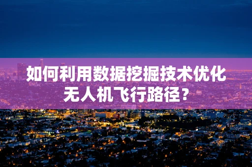 如何利用数据挖掘技术优化无人机飞行路径？