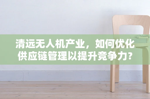 清远无人机产业，如何优化供应链管理以提升竞争力？