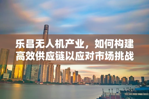 乐昌无人机产业，如何构建高效供应链以应对市场挑战？