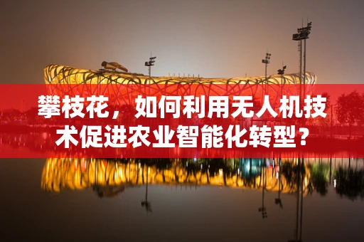 攀枝花，如何利用无人机技术促进农业智能化转型？