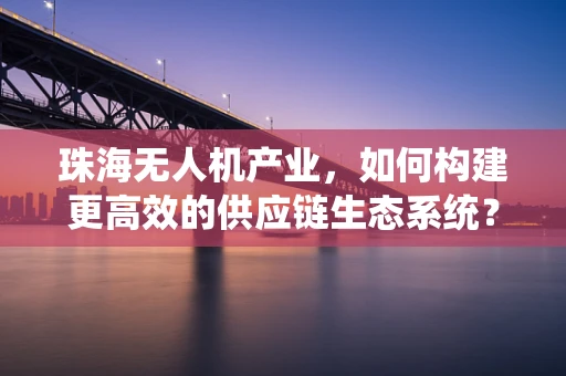 珠海无人机产业，如何构建更高效的供应链生态系统？
