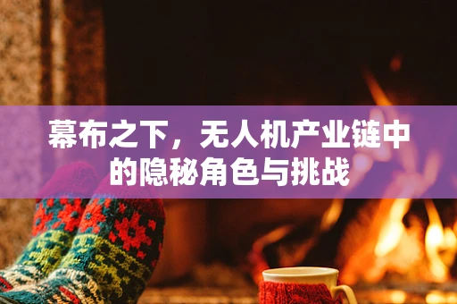 幕布之下，无人机产业链中的隐秘角色与挑战