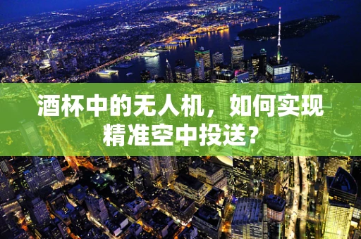 酒杯中的无人机，如何实现精准空中投送？
