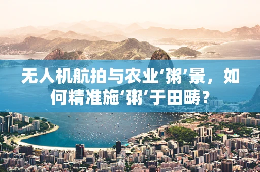 无人机航拍与农业‘粥’景，如何精准施‘粥’于田畴？