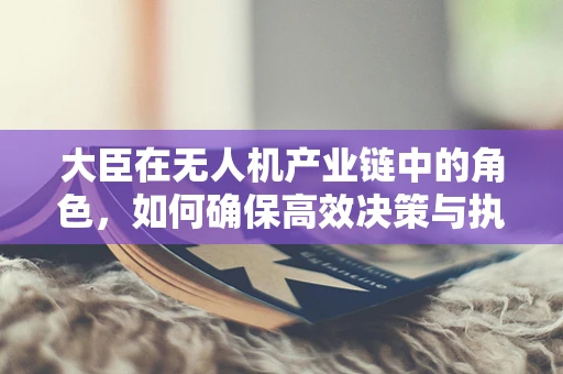 大臣在无人机产业链中的角色，如何确保高效决策与执行？