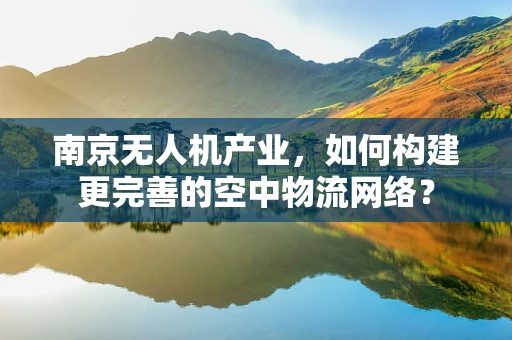 南京无人机产业，如何构建更完善的空中物流网络？