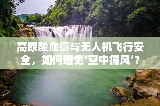 高尿酸血症与无人机飞行安全，如何避免‘空中痛风’？