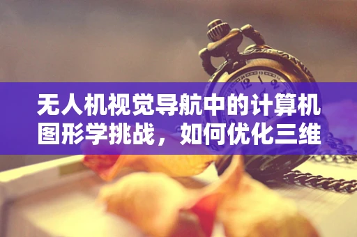 无人机视觉导航中的计算机图形学挑战，如何优化三维地图的实时渲染？