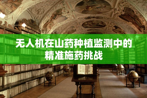 无人机在山药种植监测中的精准施药挑战