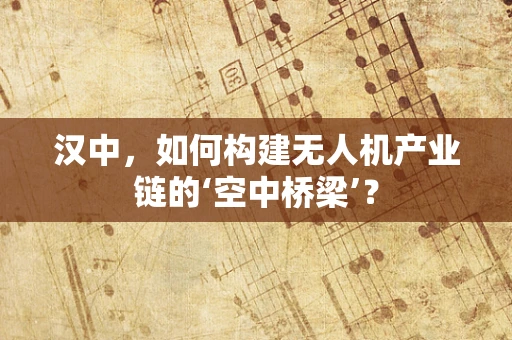 汉中，如何构建无人机产业链的‘空中桥梁’？