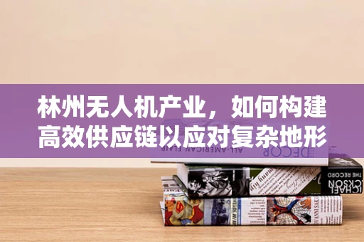 林州无人机产业，如何构建高效供应链以应对复杂地形挑战？