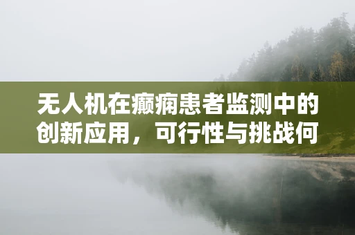 无人机在癫痫患者监测中的创新应用，可行性与挑战何在？