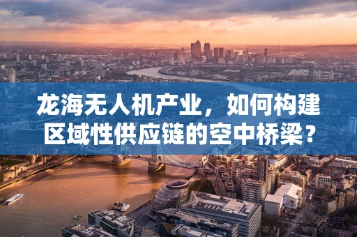 龙海无人机产业，如何构建区域性供应链的空中桥梁？