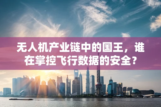 无人机产业链中的国王，谁在掌控飞行数据的安全？