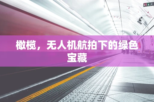 橄榄，无人机航拍下的绿色宝藏