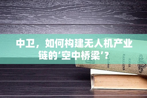中卫，如何构建无人机产业链的‘空中桥梁’？