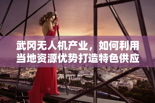 武冈无人机产业，如何利用当地资源优势打造特色供应链？