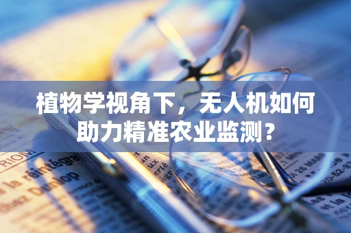 植物学视角下，无人机如何助力精准农业监测？