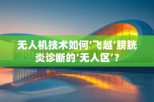 无人机技术如何‘飞越’膀胱炎诊断的‘无人区’？