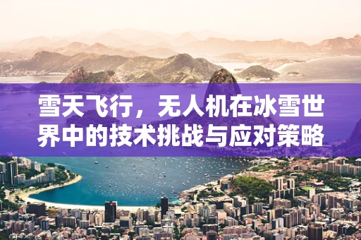 雪天飞行，无人机在冰雪世界中的技术挑战与应对策略