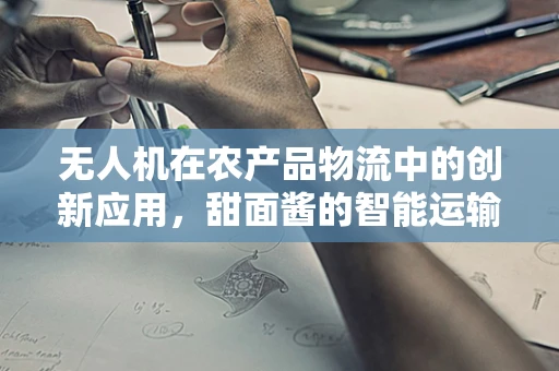 无人机在农产品物流中的创新应用，甜面酱的智能运输挑战